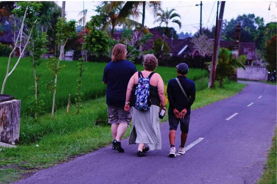 Ubud: Spectacular Waterfalls Tour