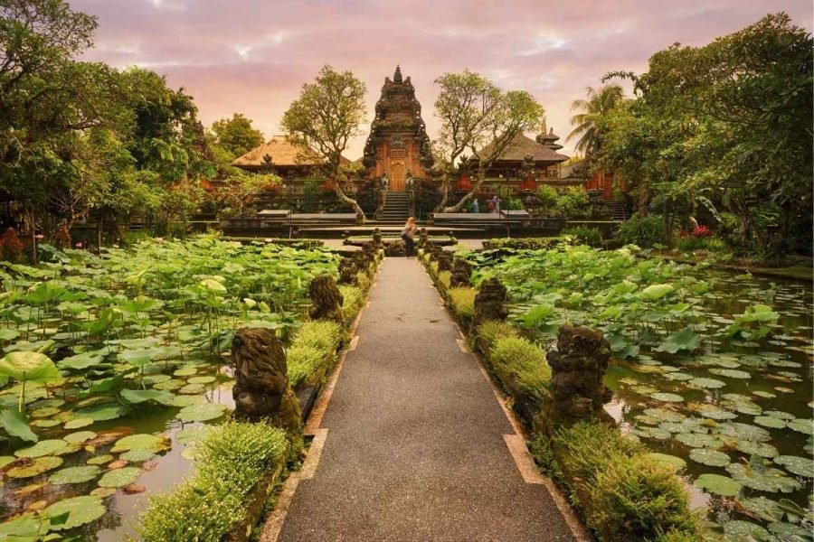 Ubud All-Inclusive Highlights Tour